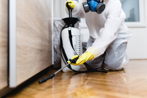 Best Local Pest Control Services  in Madison, NE