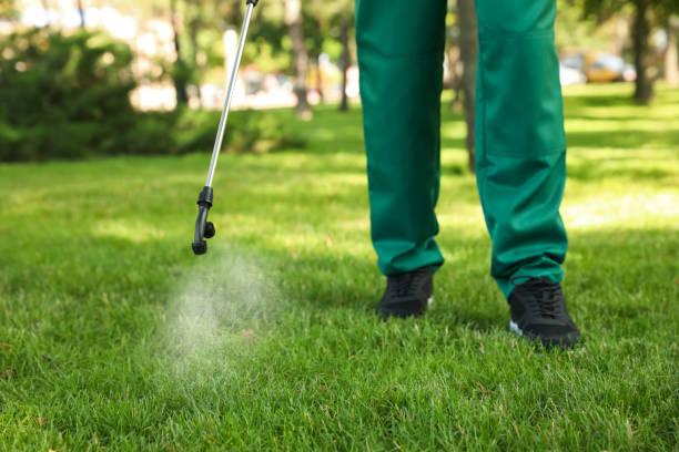 Best Affordable Pest Control Services  in Madison, NE