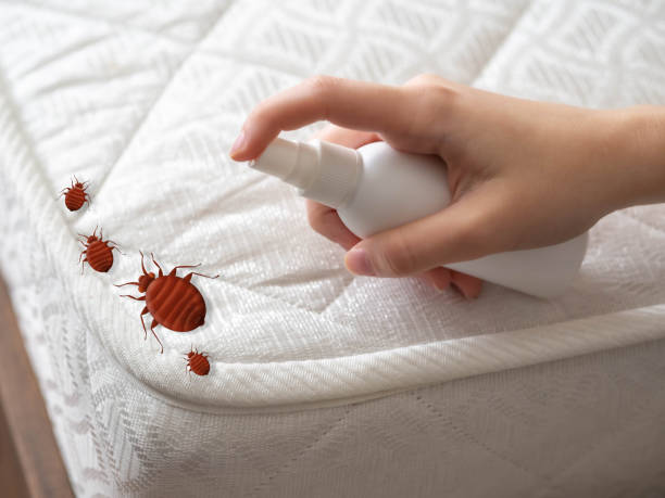 Best Pest Prevention Services  in Madison, NE