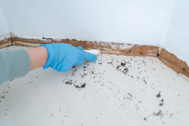 Best Best Pest Control Companies  in Madison, NE